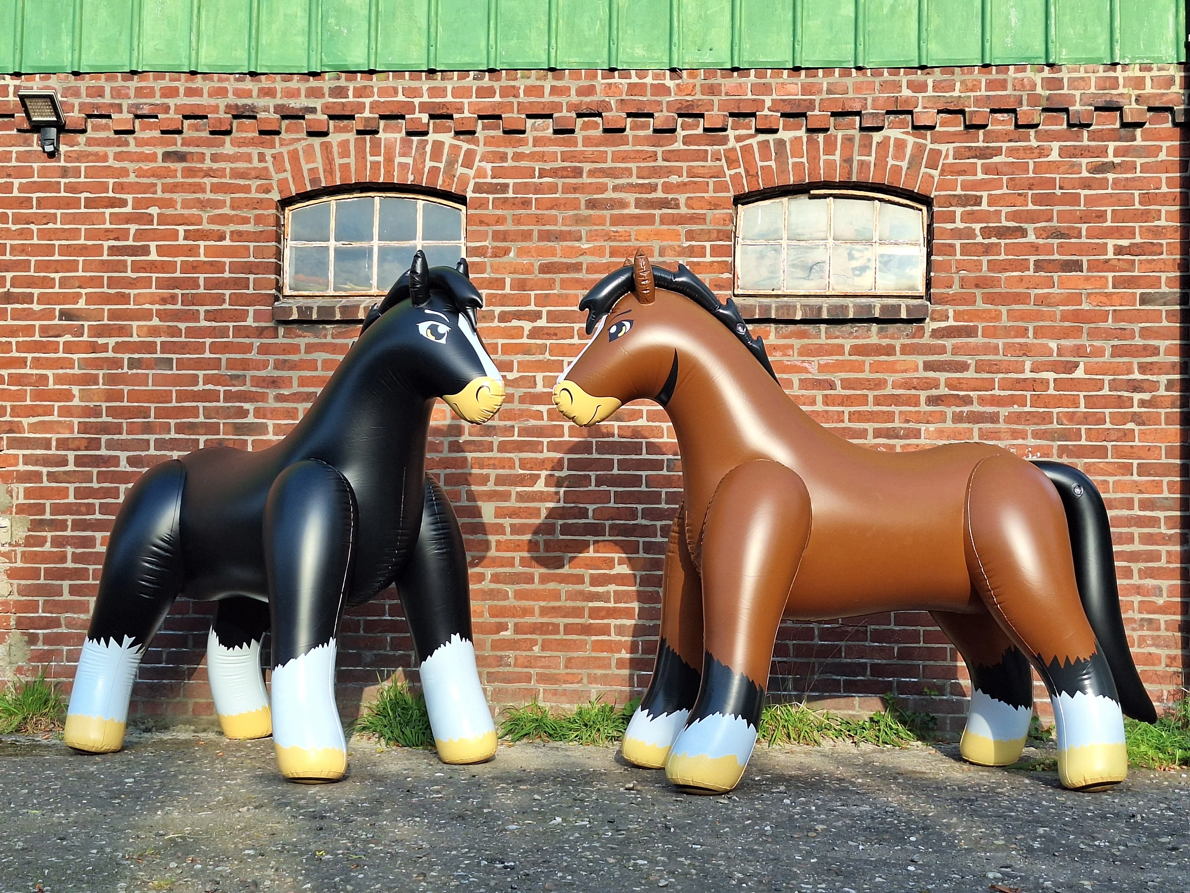 Welcome to Our Store